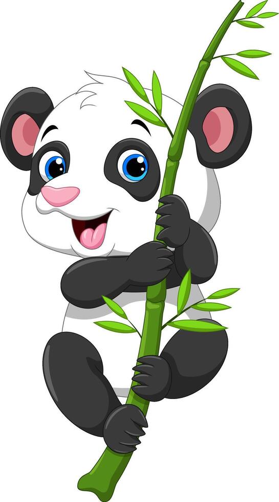 Cute funny baby panda hanging on a bamboo tree vector
