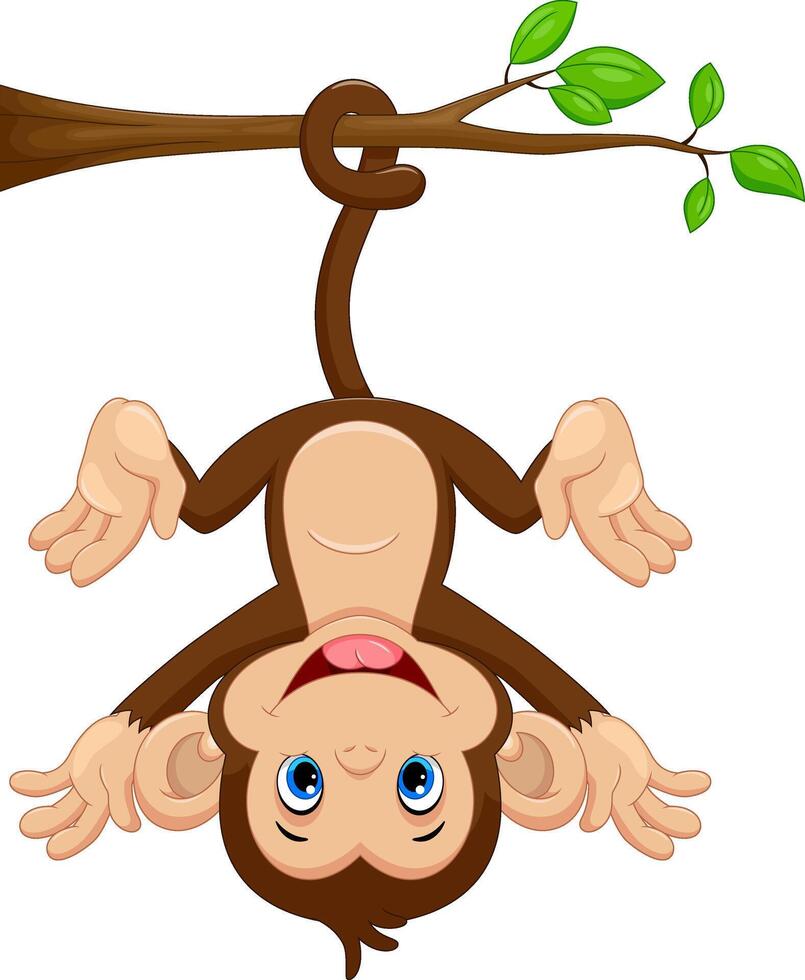 Cute monkey cartoon isolated on white background vector