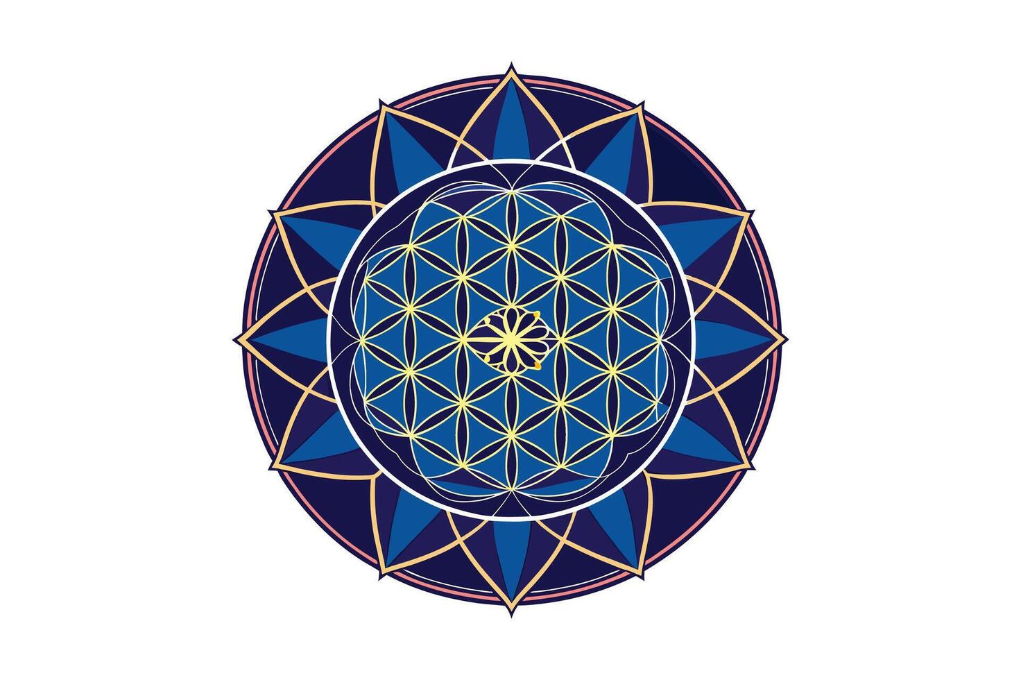 Mandala Style colorfully New vector