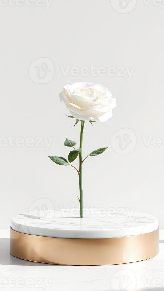 Single White Rose on Marble Pedestal photo