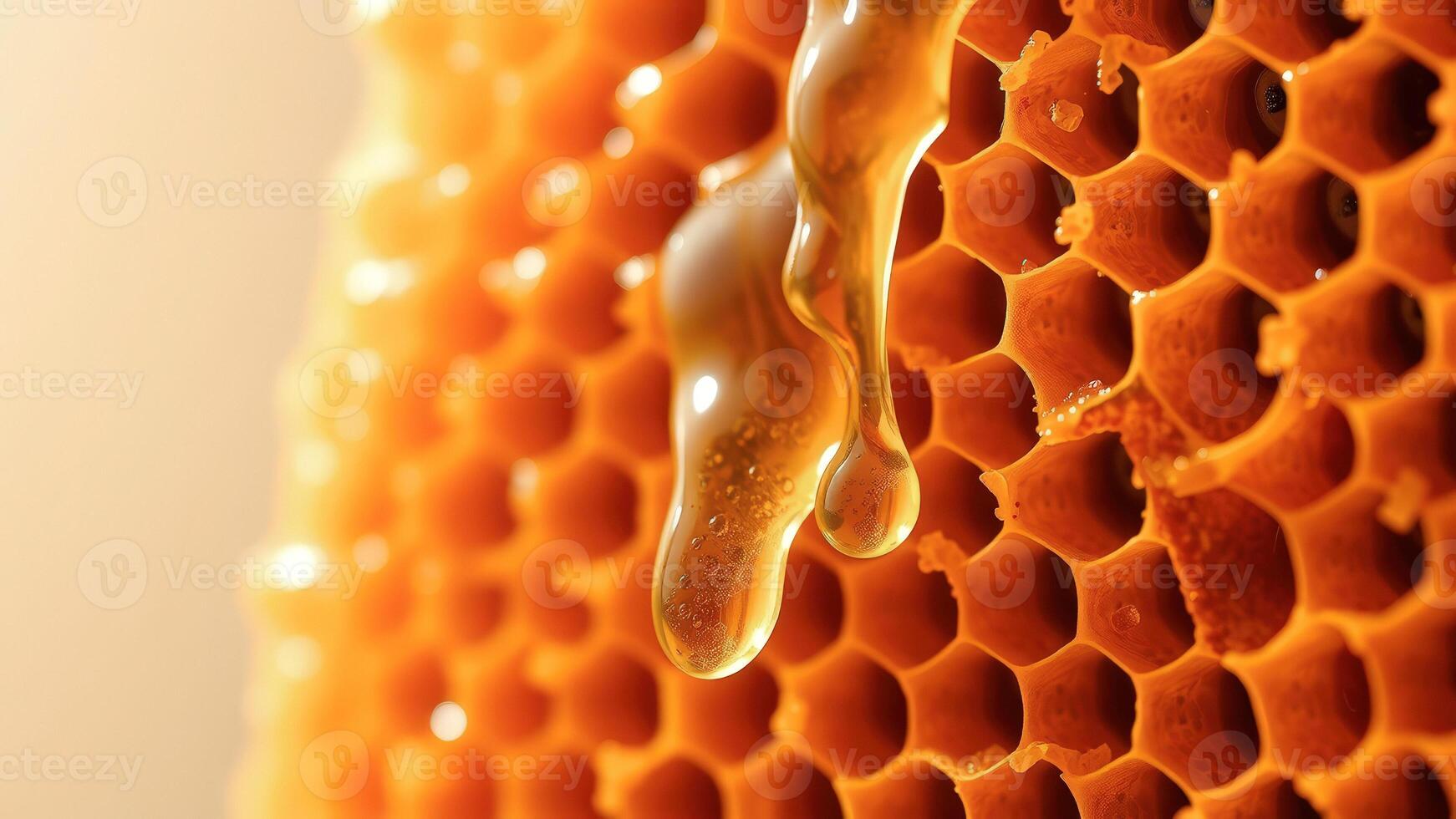 Honeycomb with Honey Dripping Down photo