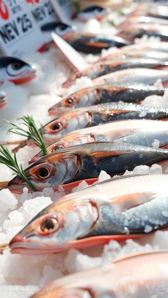 Fresh Fish on Ice photo
