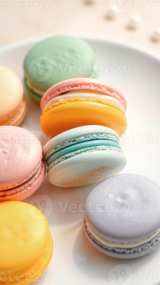 Colorful Macarons on White Plate photo