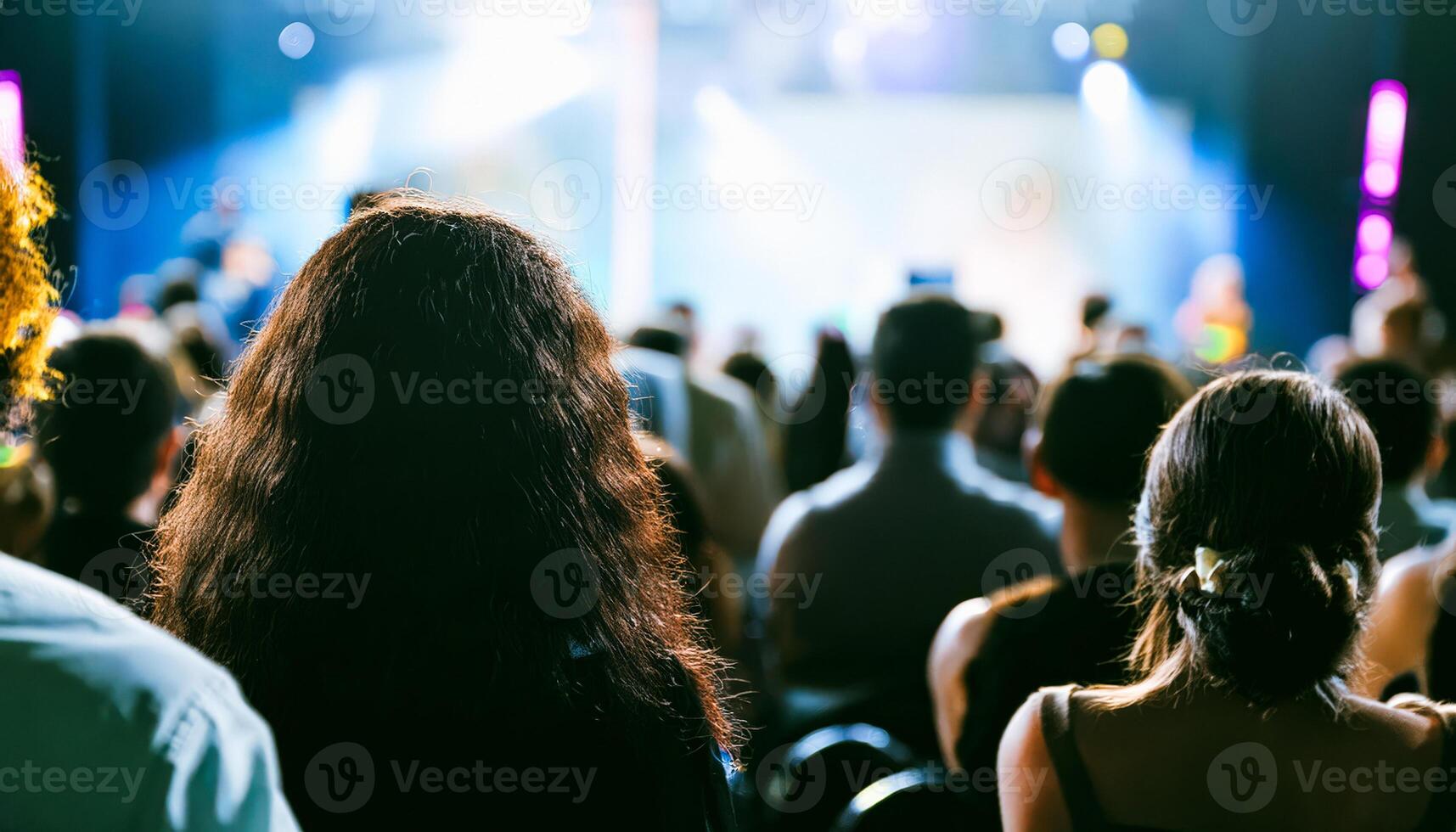Rear View of Audience at a Concert photo