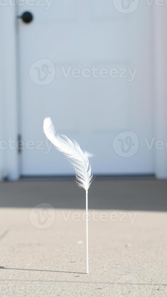Single white feather on concrete in front of a white door photo