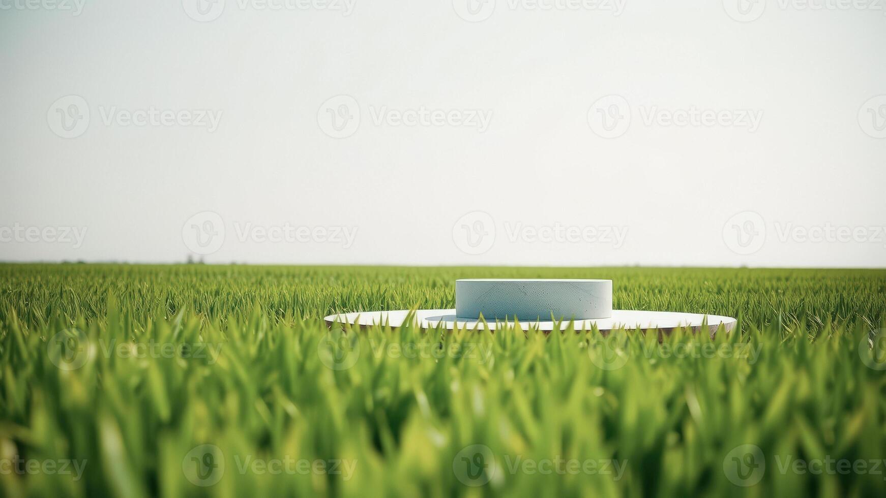 Minimalist product display with a blank pedestal in a field of green grass photo