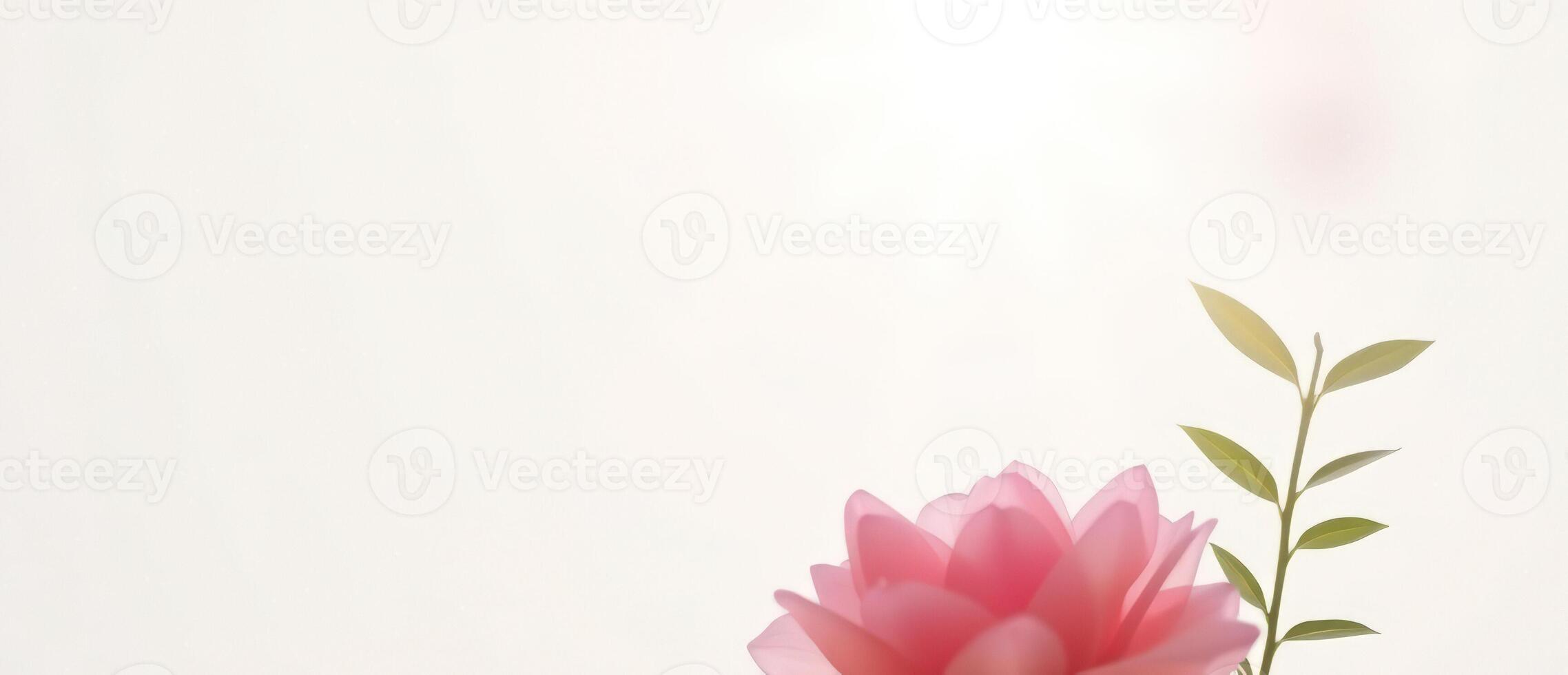 Delicate Pink Flower with Green Leaves and Soft Light photo