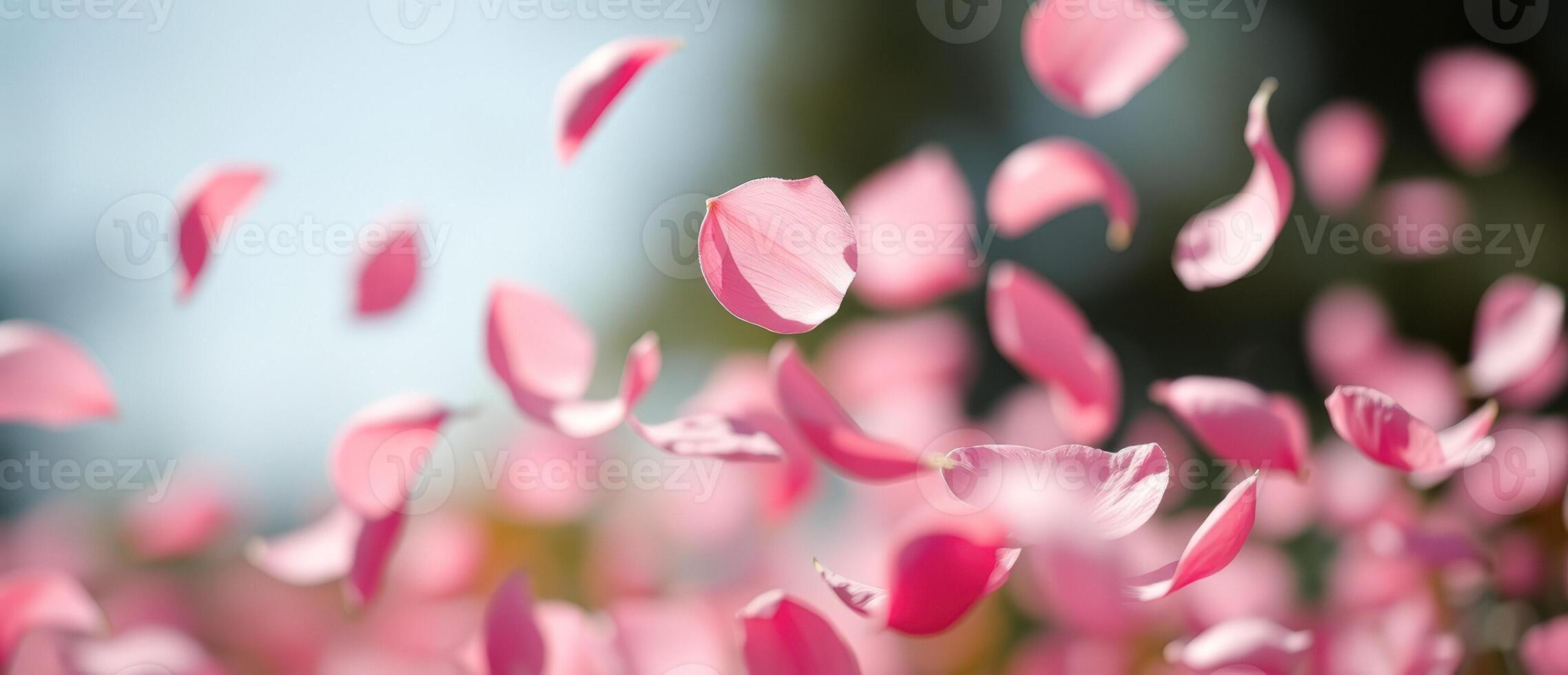 Pink Petals Falling Through the Air photo