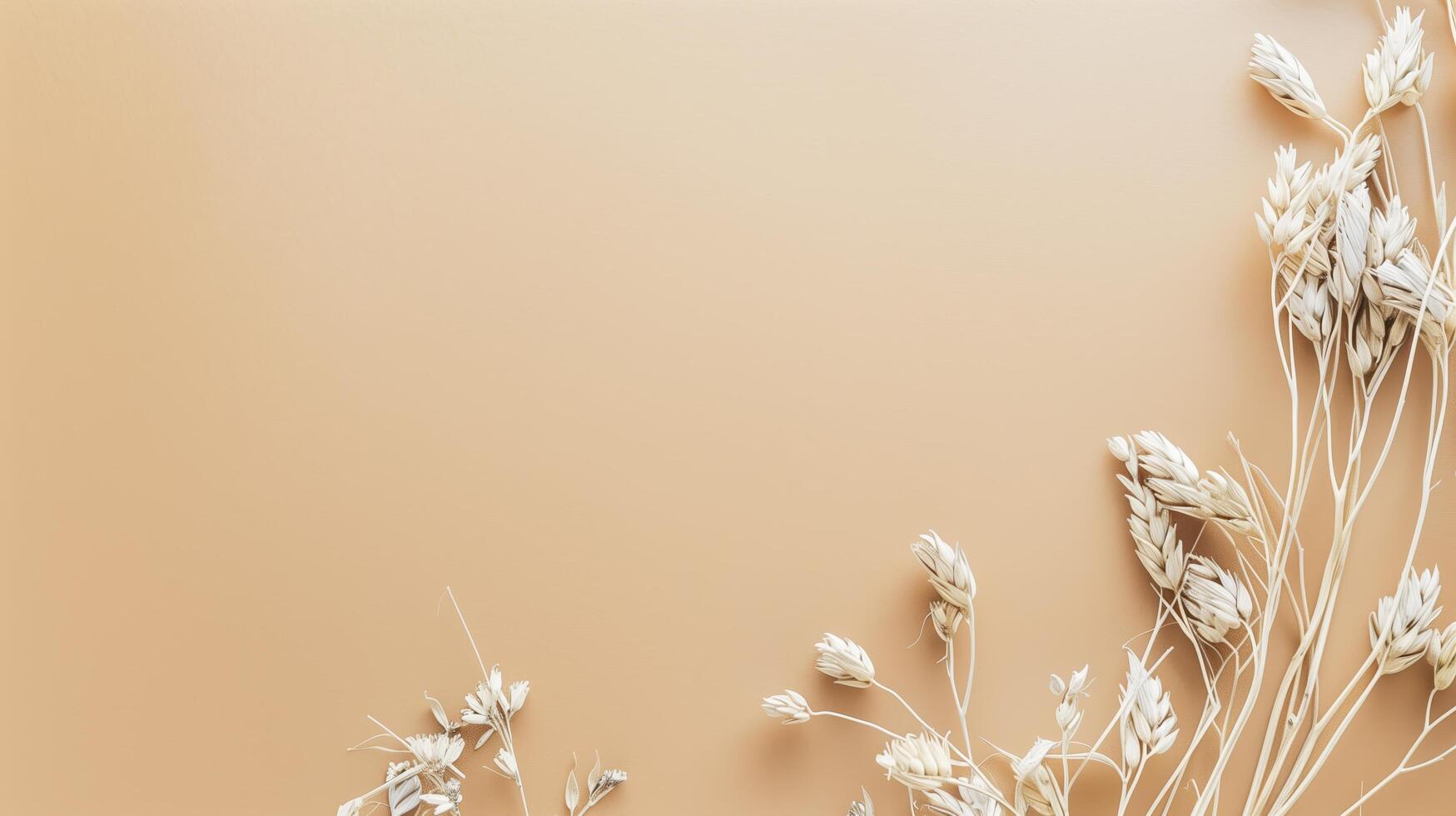 Minimal floral composition with dry oat branches on beige background with copy space photo