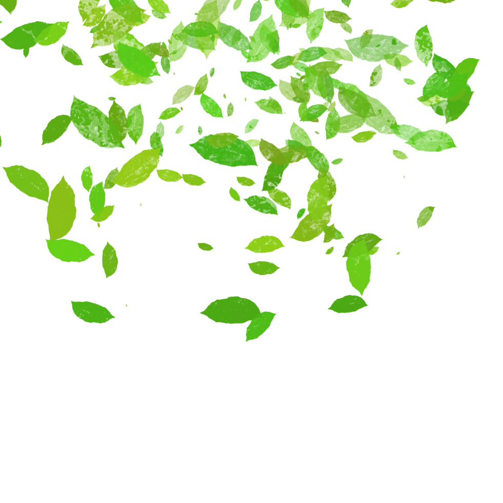 Green Leaves Falling in the Wind png