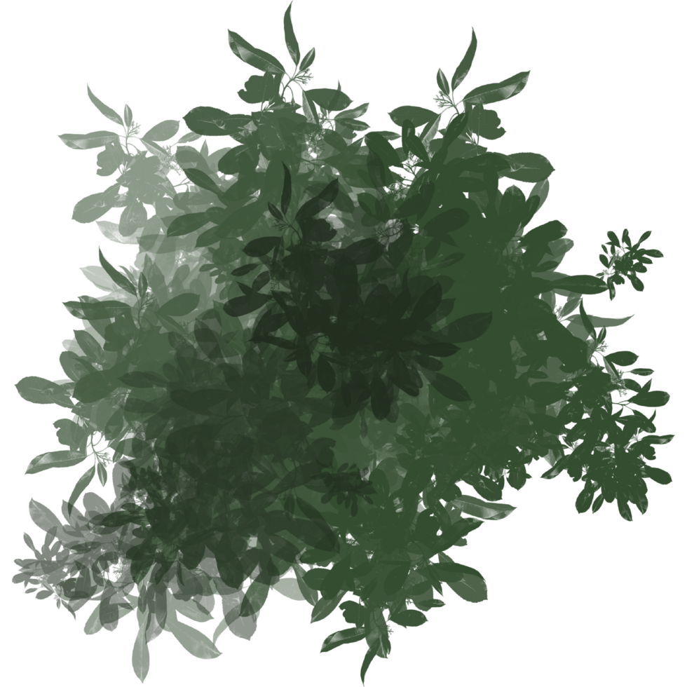 Foliage Lush Green Nature Pattern This emphasizes the vibrant and natural feel of the texture. png