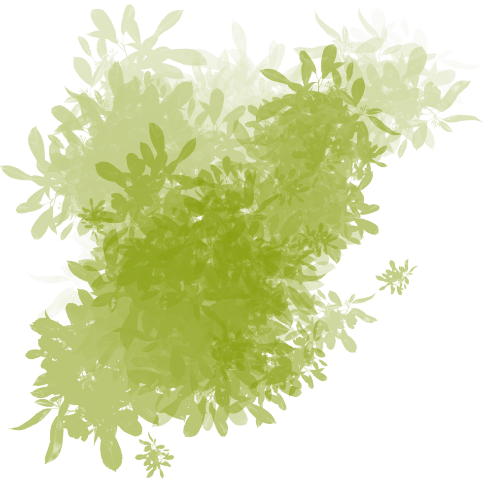 Abstract Green Foliage Texture with Floating Leaves png