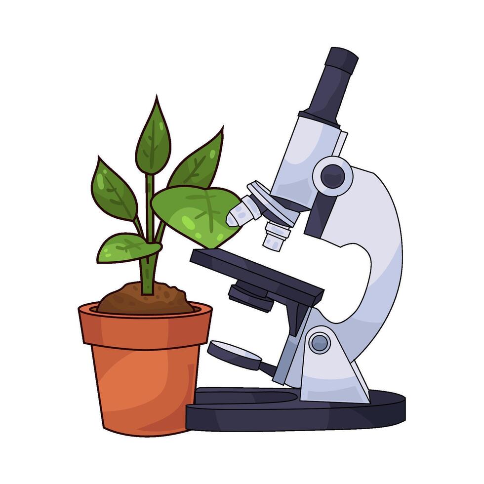 Plant Viewed Through Microscope vector