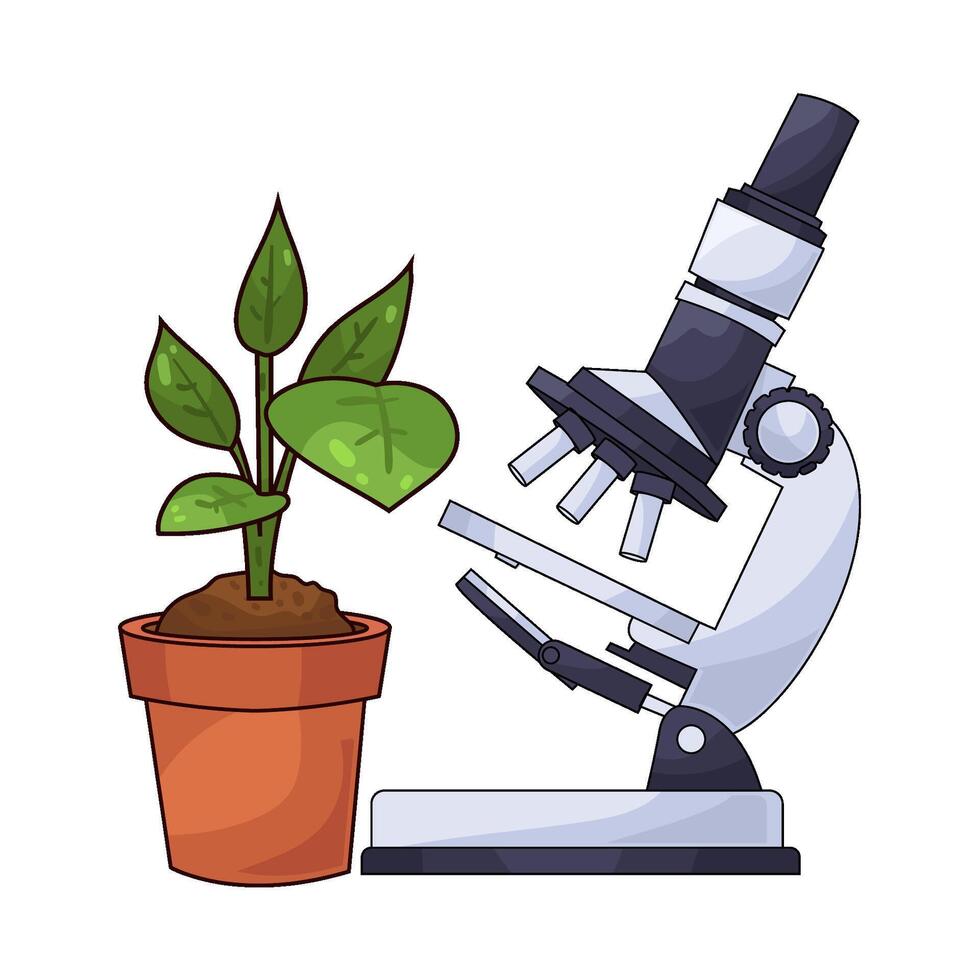 Plant Viewed Through Microscope illustration vector