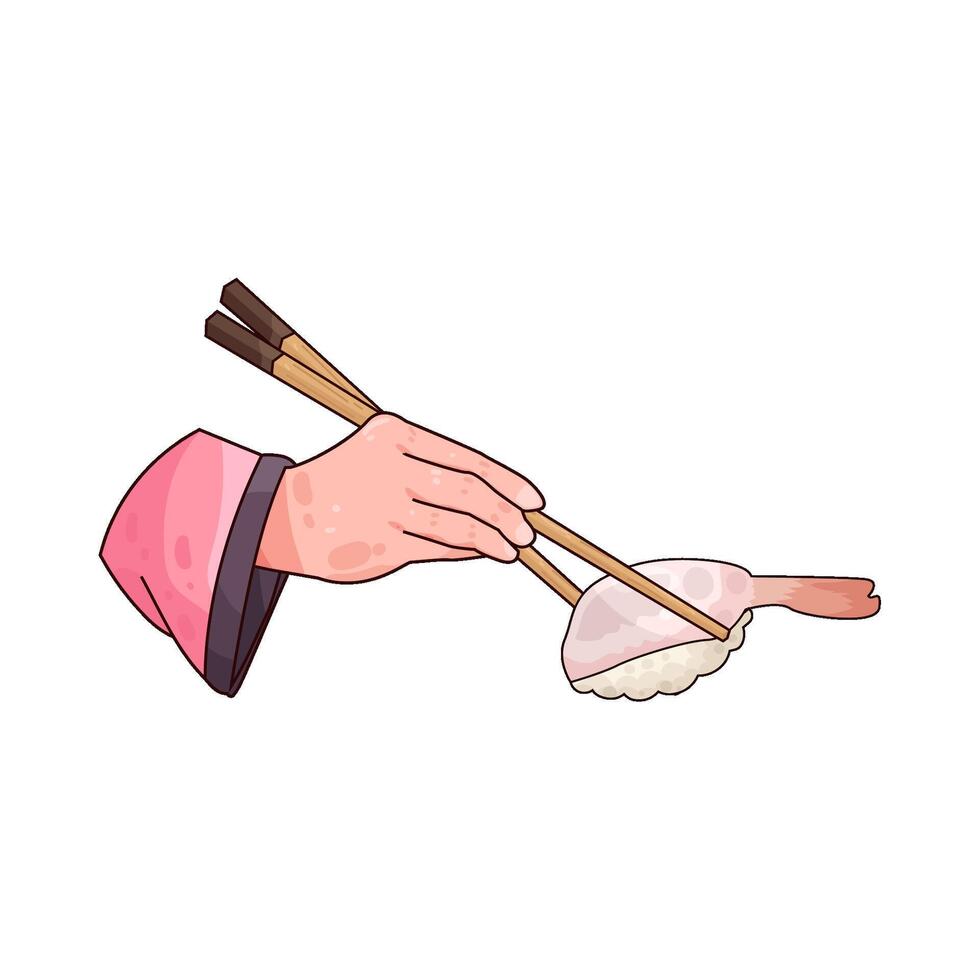 shrimp sushi illustration vector