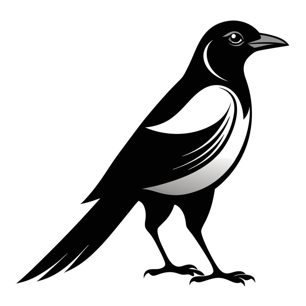 Black White magpie silhouette vector
