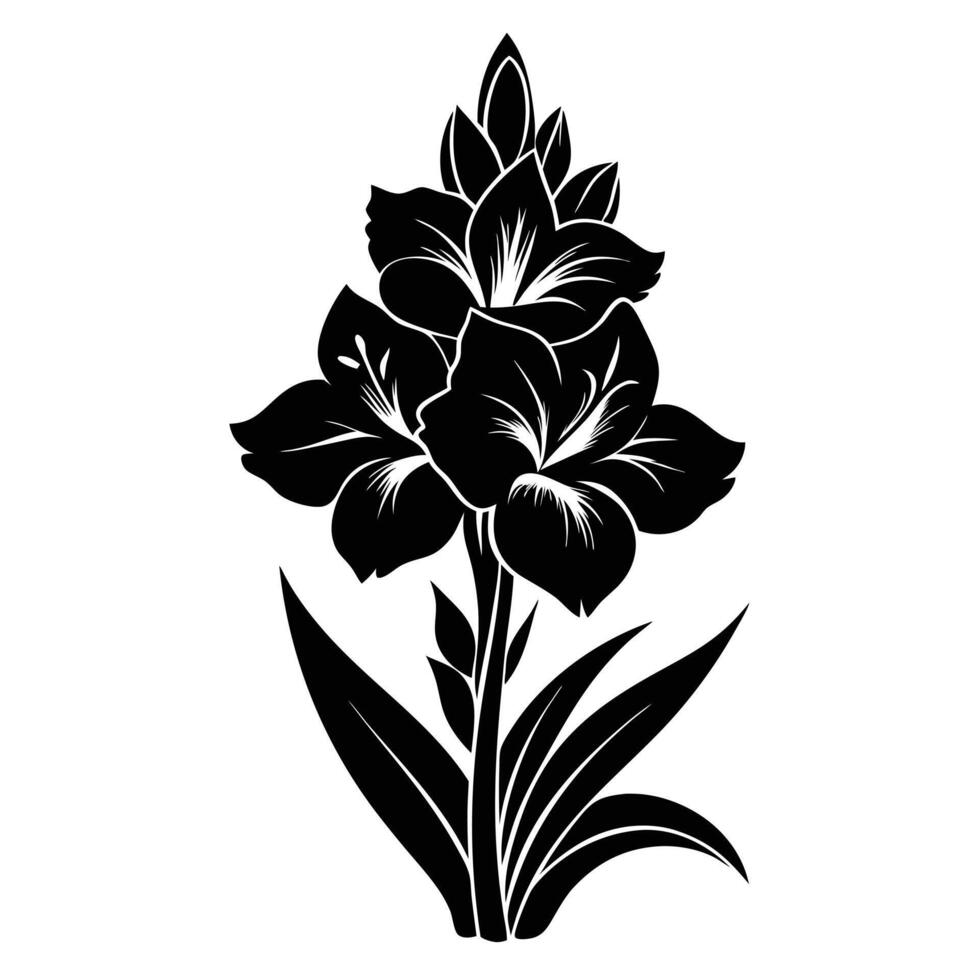 A Black White Gladiolus Style Silhouette Illustration vector