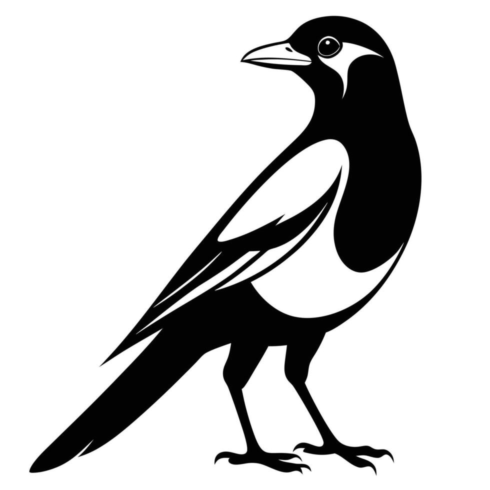 Black White magpie silhouette vector