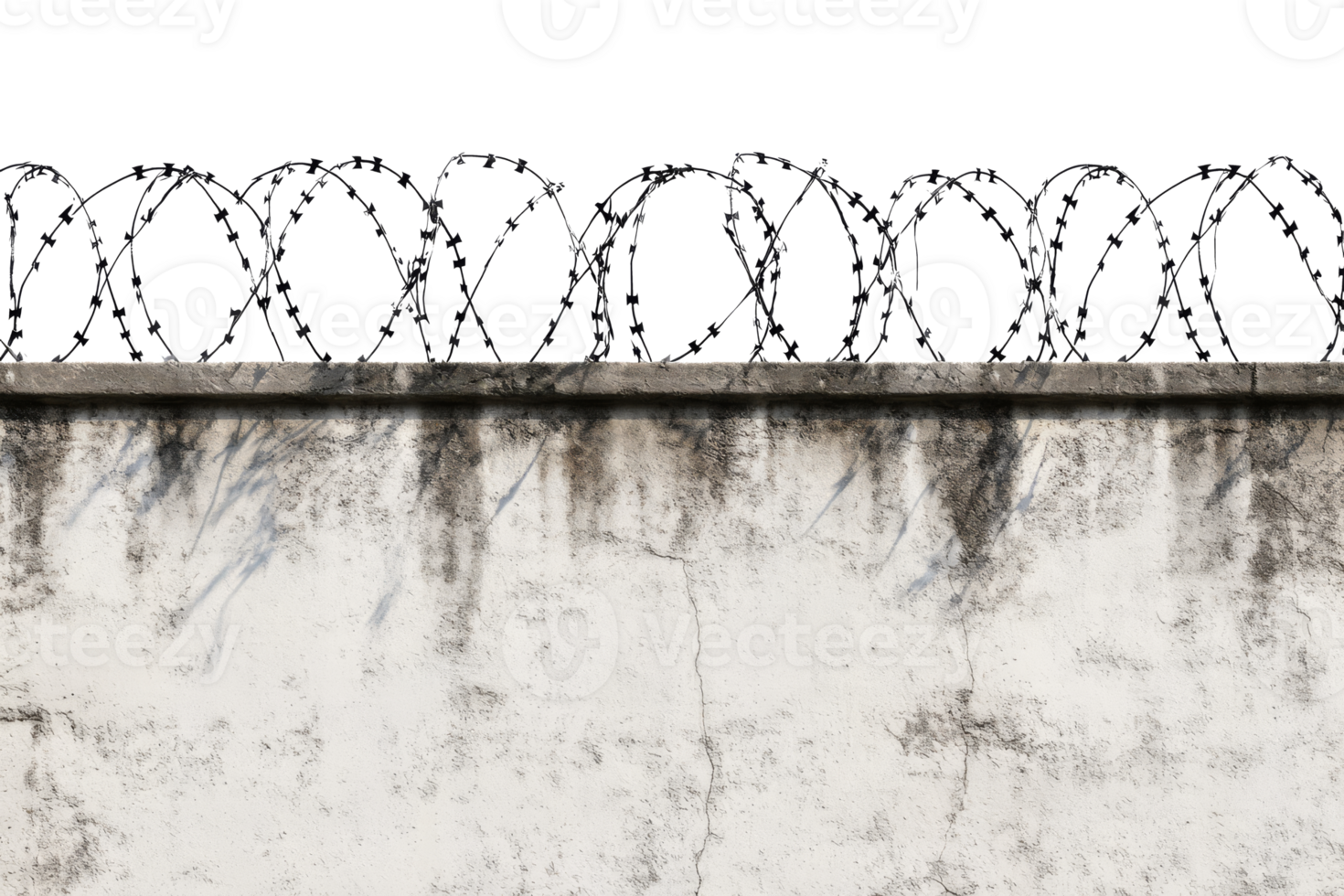 Barbed wire fence on top of concrete wall. Concept of restriction of freedom and prison png