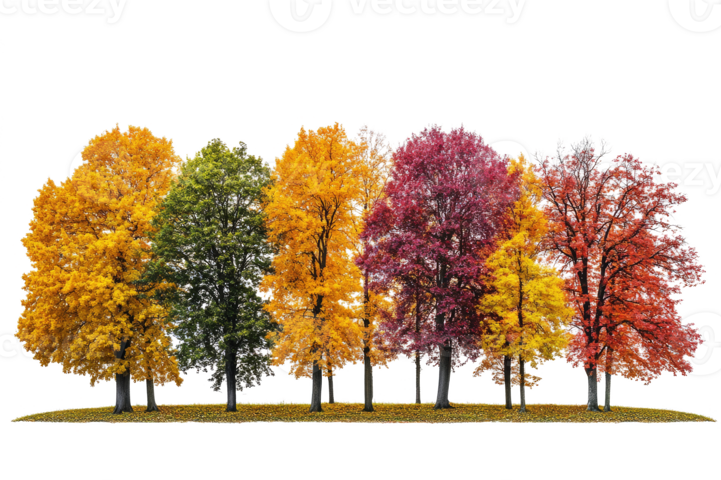 Row of colorful autumn trees. Fall season png