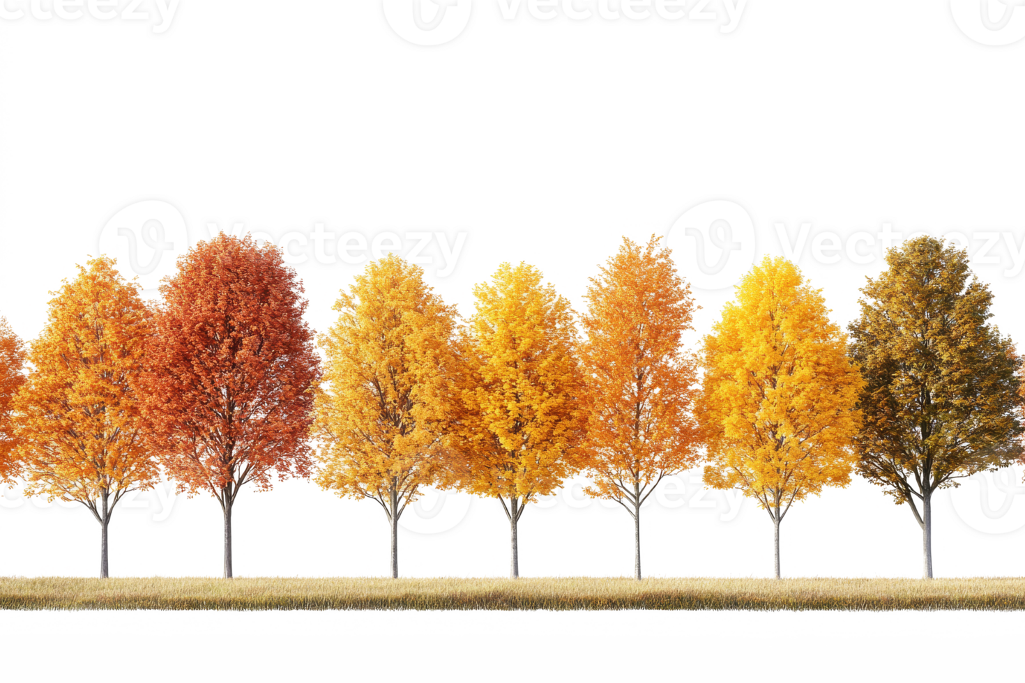 Row of colorful autumn trees. Fall season png