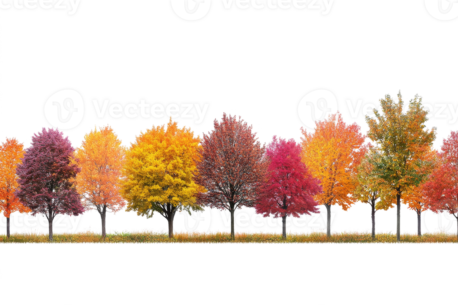 Row of colorful autumn trees. Fall season png
