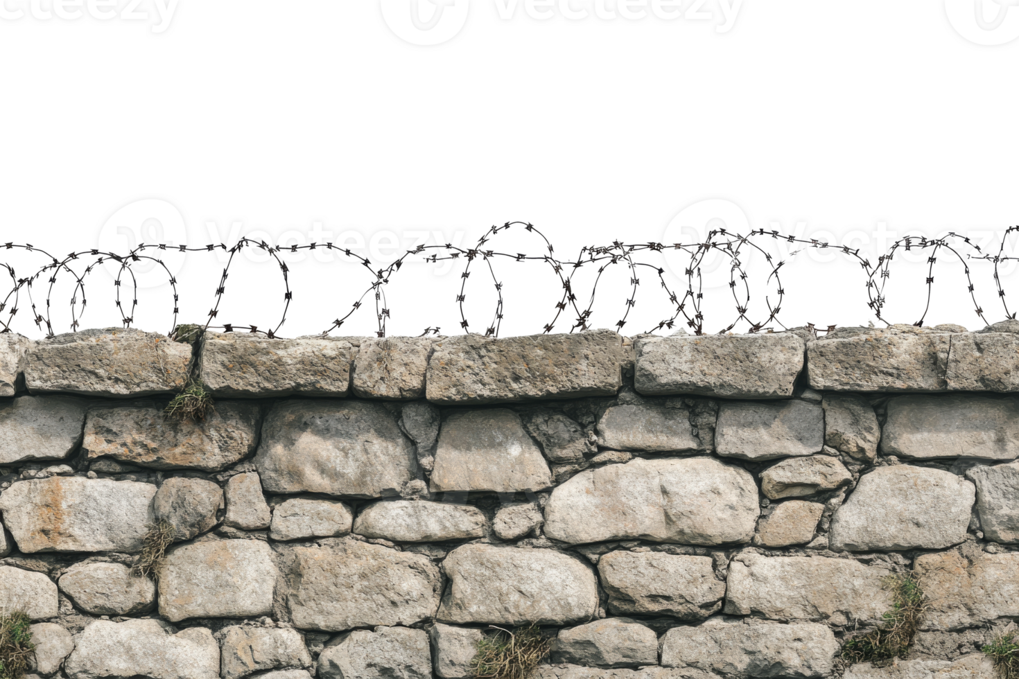 Barbed wire fence on top of stone wall. Concept of restriction of freedom and prison png