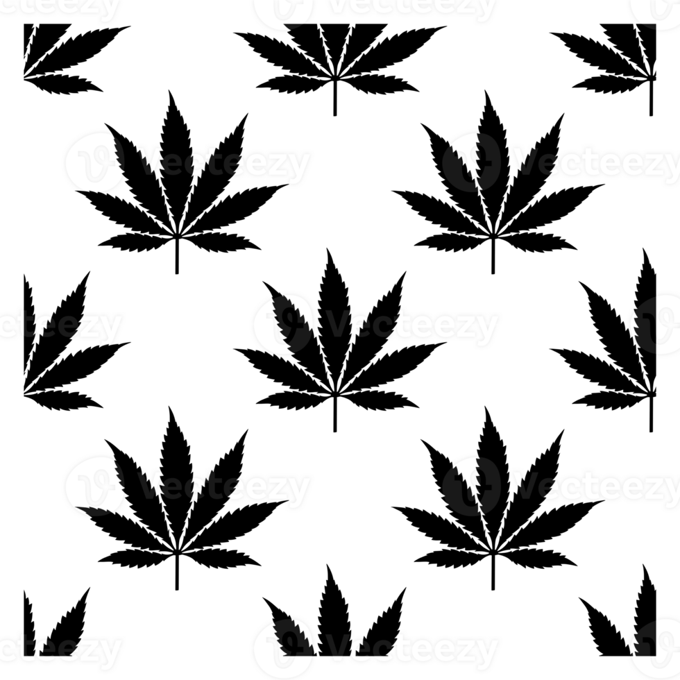 Cannabis Marijuana Leaf black saemless pattern on transparent Background. png