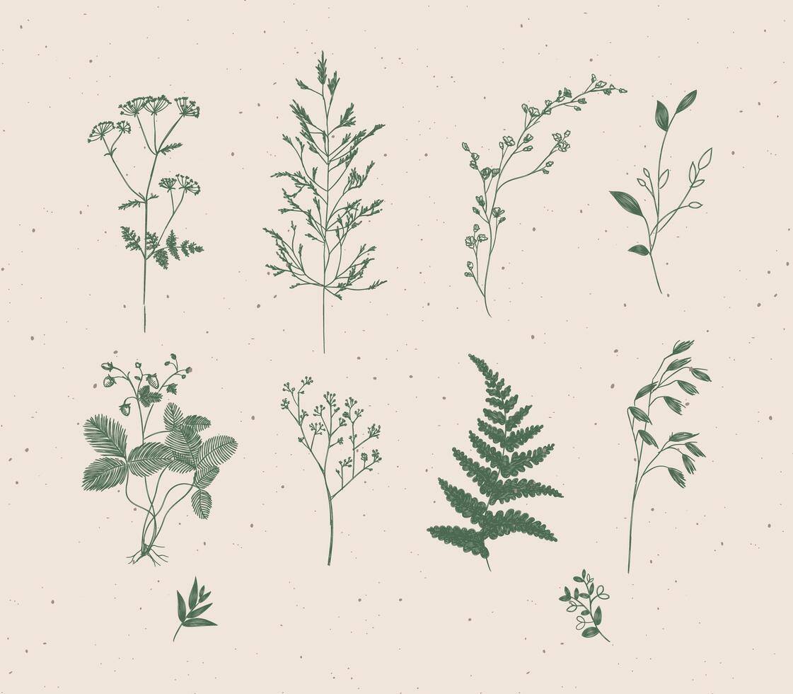 Set of leaves and branches floral style drawing in green color on beige background vector