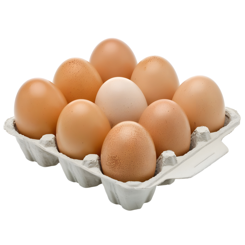 Carton of Brown Eggs isolated on transparent background png