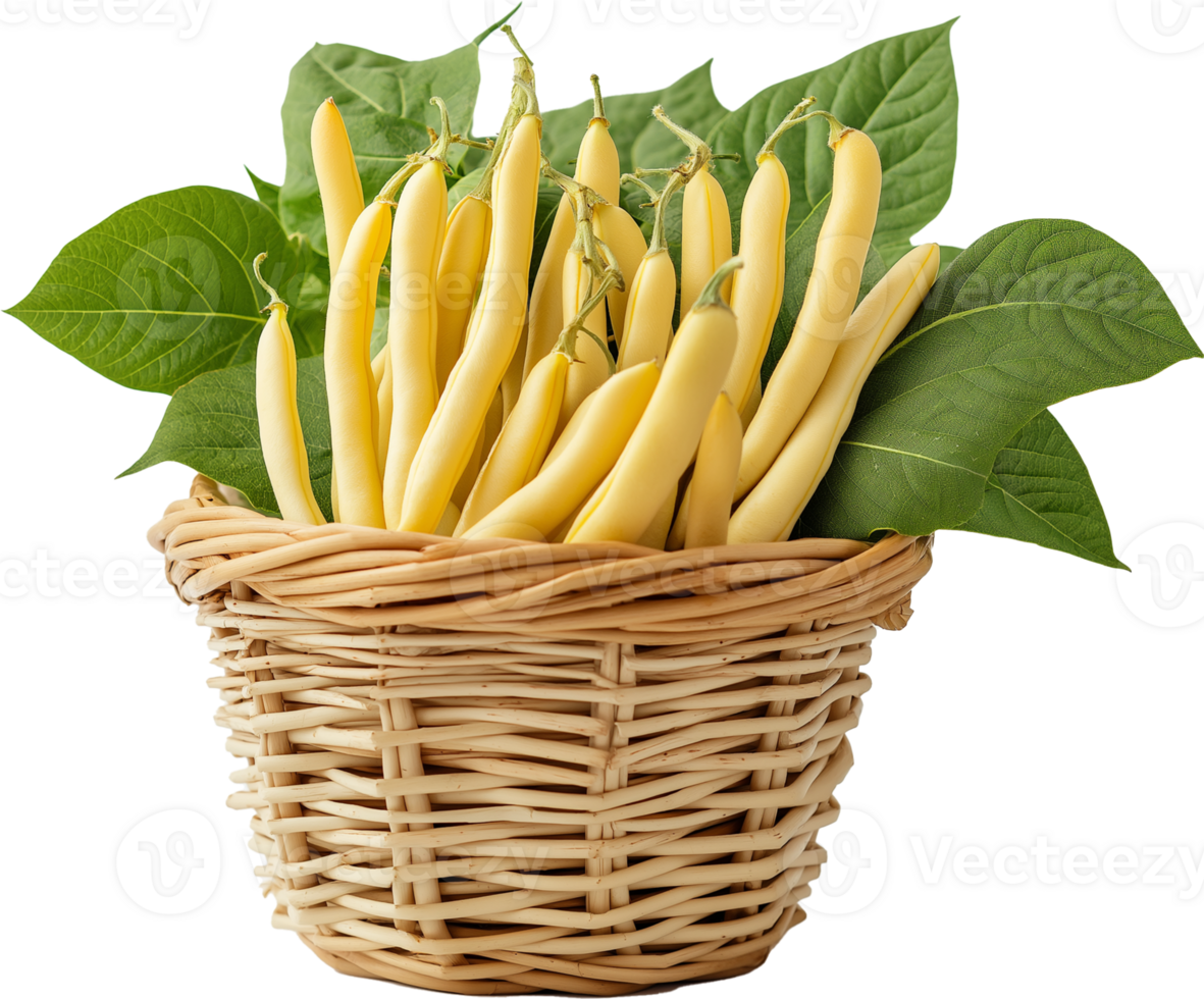 Cherokee Wax Seeds - Cherokee Wax Bean isolated, Cherokee wax beans in a basket illustration png
