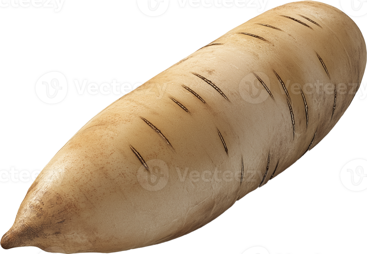 Yam Root vegetable - Sweet potato isolated, Whole Fresh Yam illustration png