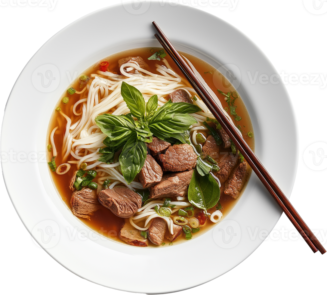 Noodle Nirvana - An Isolated Pho Soup Illustration png
