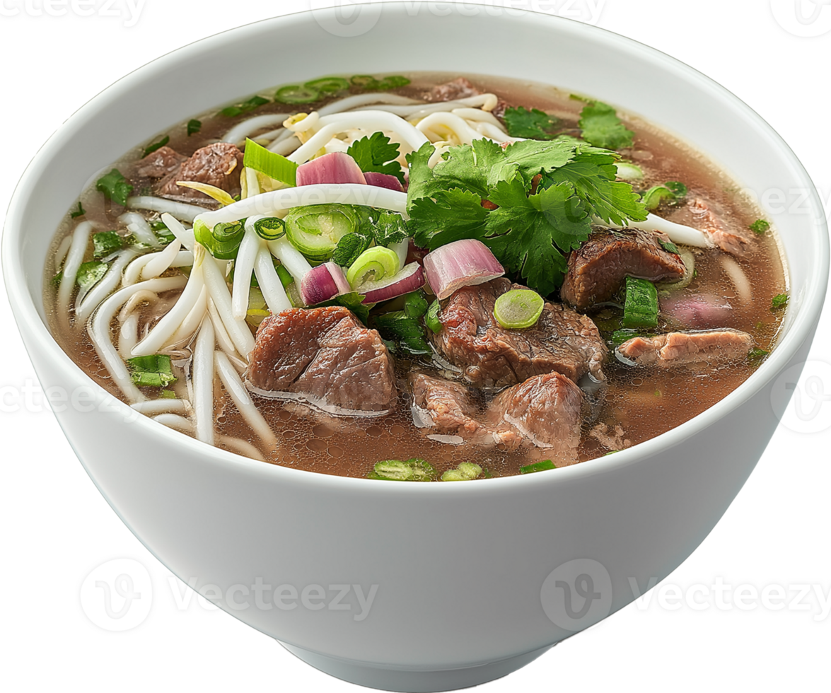 Delicious Pho soup on a dish illustration - Pho Soup noodles - Pho Food isolated png