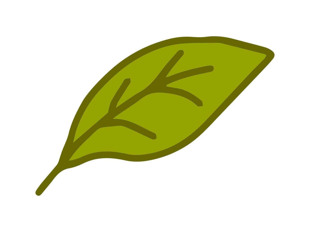 Green leaf isolated on a white background. Concept of nature, plants, minimalist style, summer art, seasonal theme, foliage. Design element, icon, print. vector