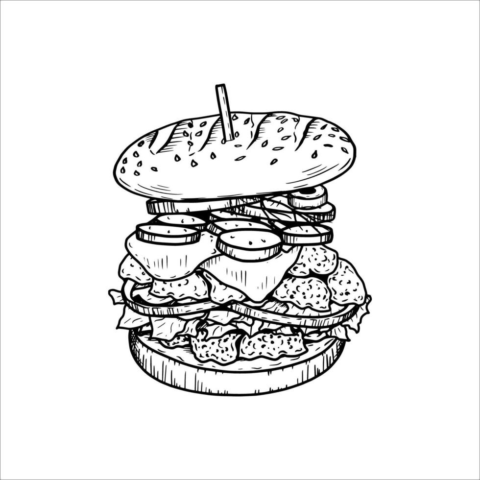 Hand drawn burger , fastfood illustration. vector