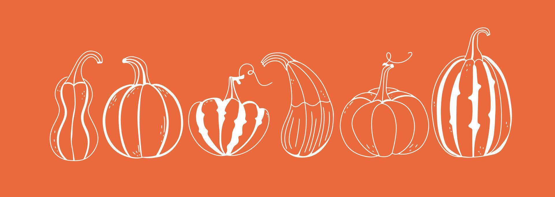 Doodle pumpkin set. Outline autumn design elements. Thanksgiving Day and Fall collection. vector