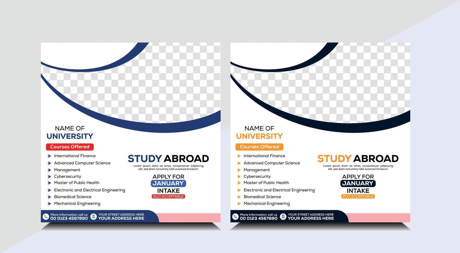 Study abroad graphic template, education banner design, social media post template vector