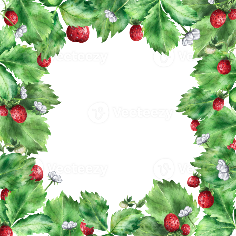 Frame with ripe red strawberries. An illustration highlighted on a white background. png