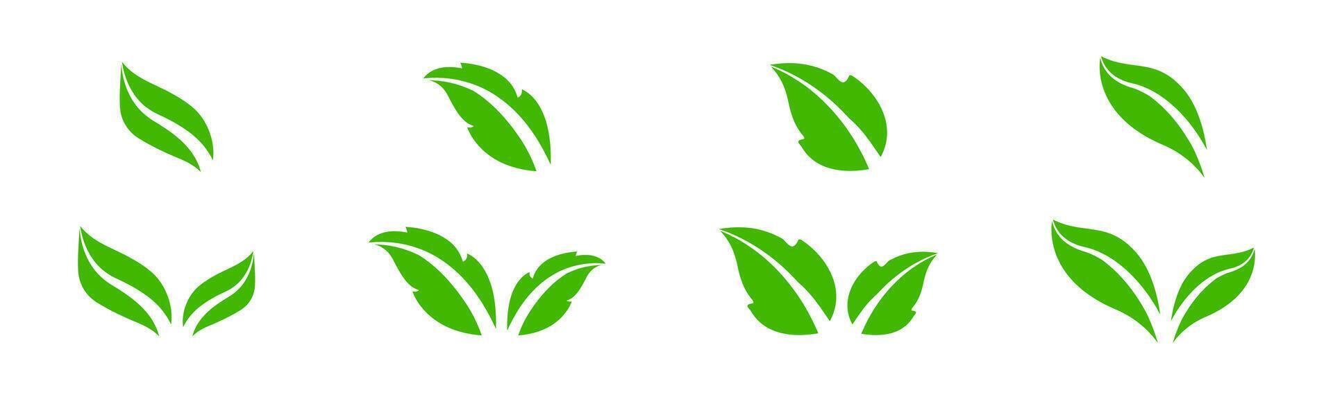 Set of green leaf icons. Green leaves. Flat Leaves illustration. vector