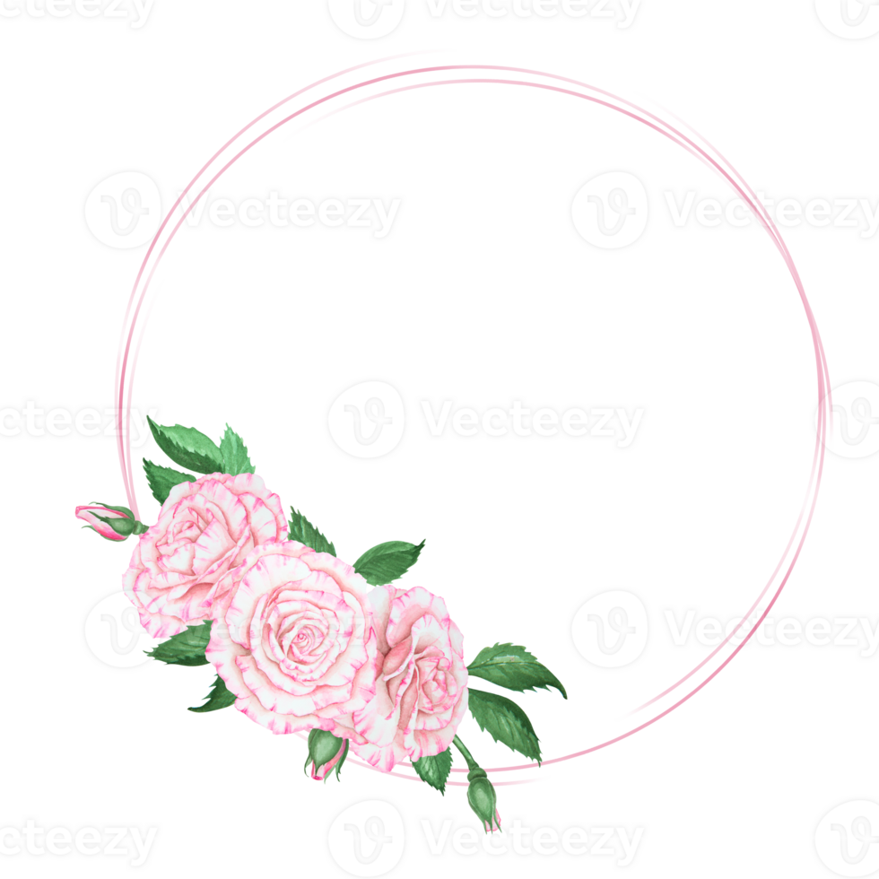Light pink rose bouquet. Watercolor botanical illustration. Hand drawn clipart, cut out and isolated. Realistic flower round frame with for banner template with copy space for text in wedding prints png