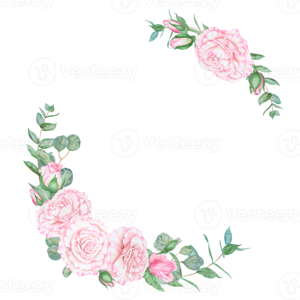 Light pink rose and eucalyptus. Watercolor botanical illustration. Hand drawn clipart, cut out and isolated. Realistic flower round frame for banner template with copy space for text in wedding prints png