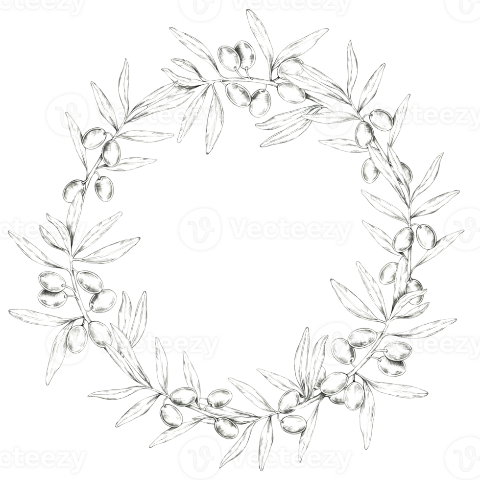 Circular wreath formed by intertwined olive branches, complete with detailed olives and leaves. Pencil drawing clipart for wedding, save the date,packaging designs for olive oils, soaps, and skincare png