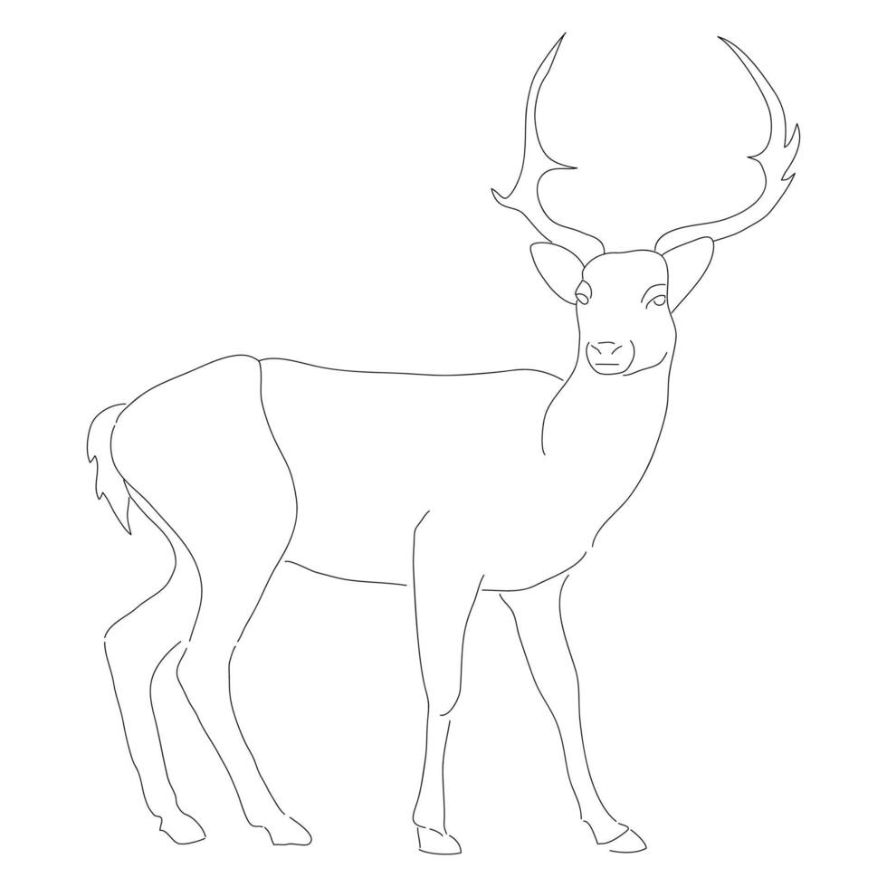 Continuous one line drawing of a Mouse Deer. illustration isolated on white background vector