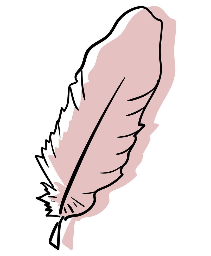 One Line art Hand Drawn Illustration on White Feather Continuous Line Drawing. card, sticker vector