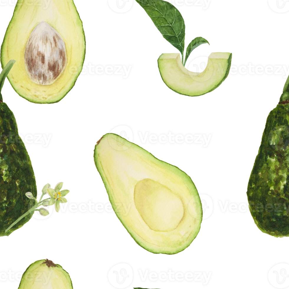 Seamless pattern of avocado watercolor hand drawn realistic illustrations. Green and fresh arts of salad, sauce, guacamole, smoothie ingredient. For textile, menu, cards, paper, package design png
