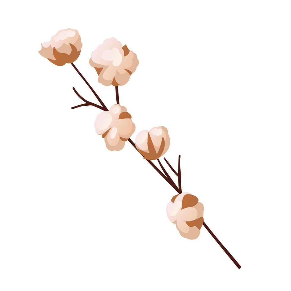 Minimalistic cotton branch illustration on white background, showing simplicity and elegance vector