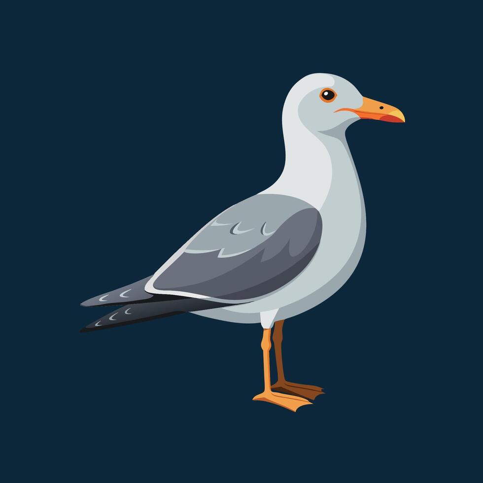 seagull on black background vector