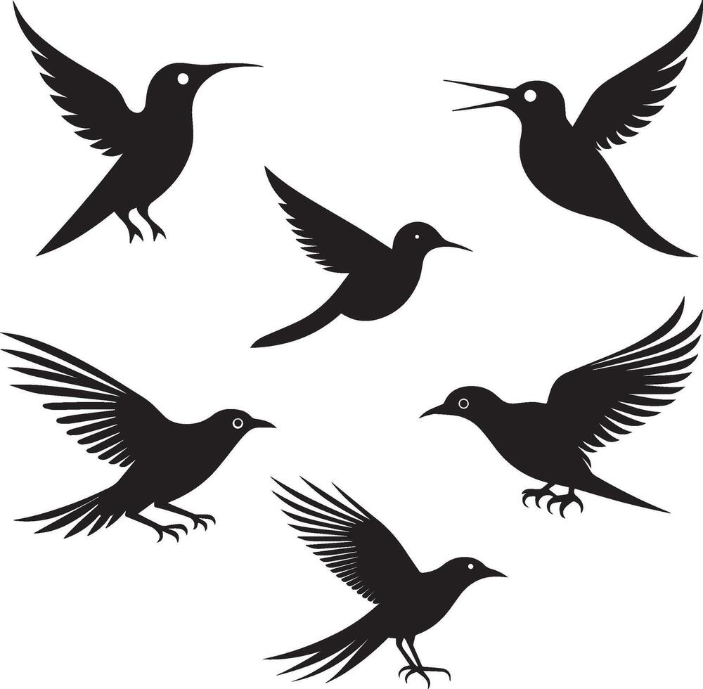 Bird silhouette set vector