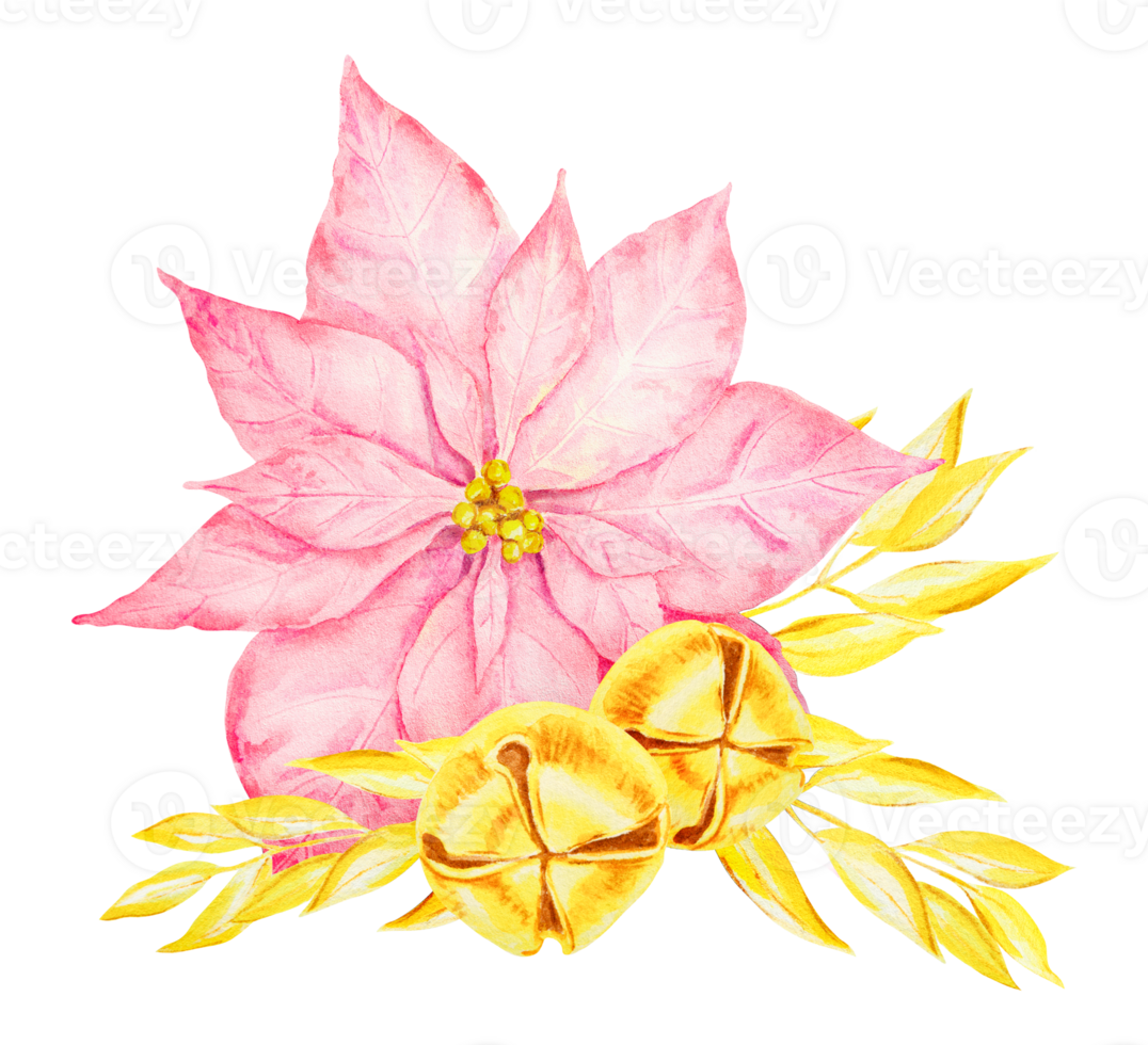 Pink poinsettia or Christmas star, golden bell, branch. Hand drawn watercolor clip art. New Year and Christmas design element. Cut out, isolated symbol of winter suitable for holiday prints, posters png